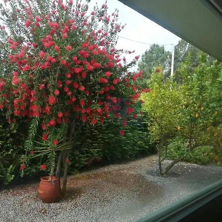 Single House Vakantiehuis Vila Real