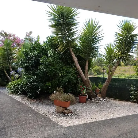 Single House Vakantiehuis