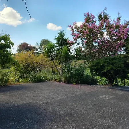 Vakantiehuis Single House Vila Real