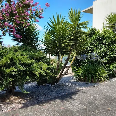 Single House * Vila Real