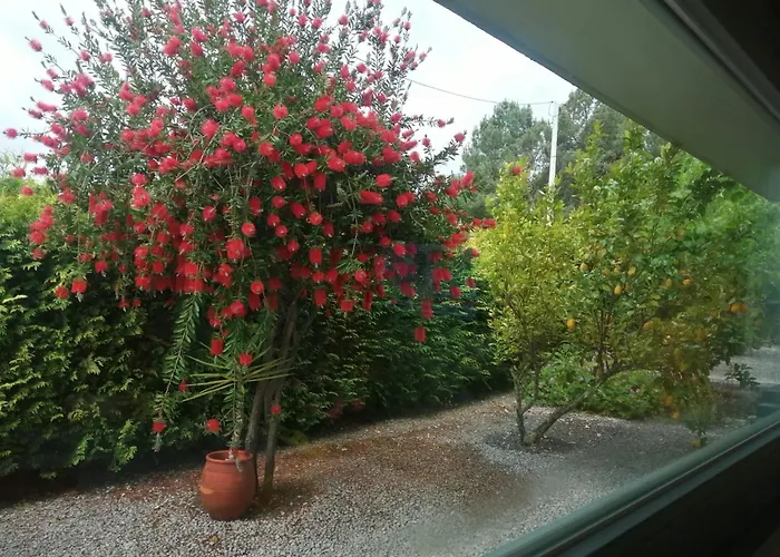 Single House Feriehus Vila Real